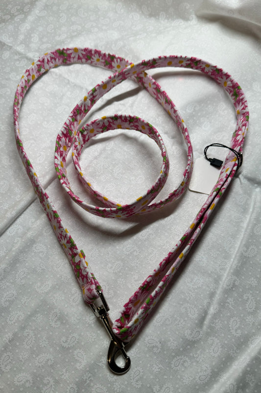 Leashes