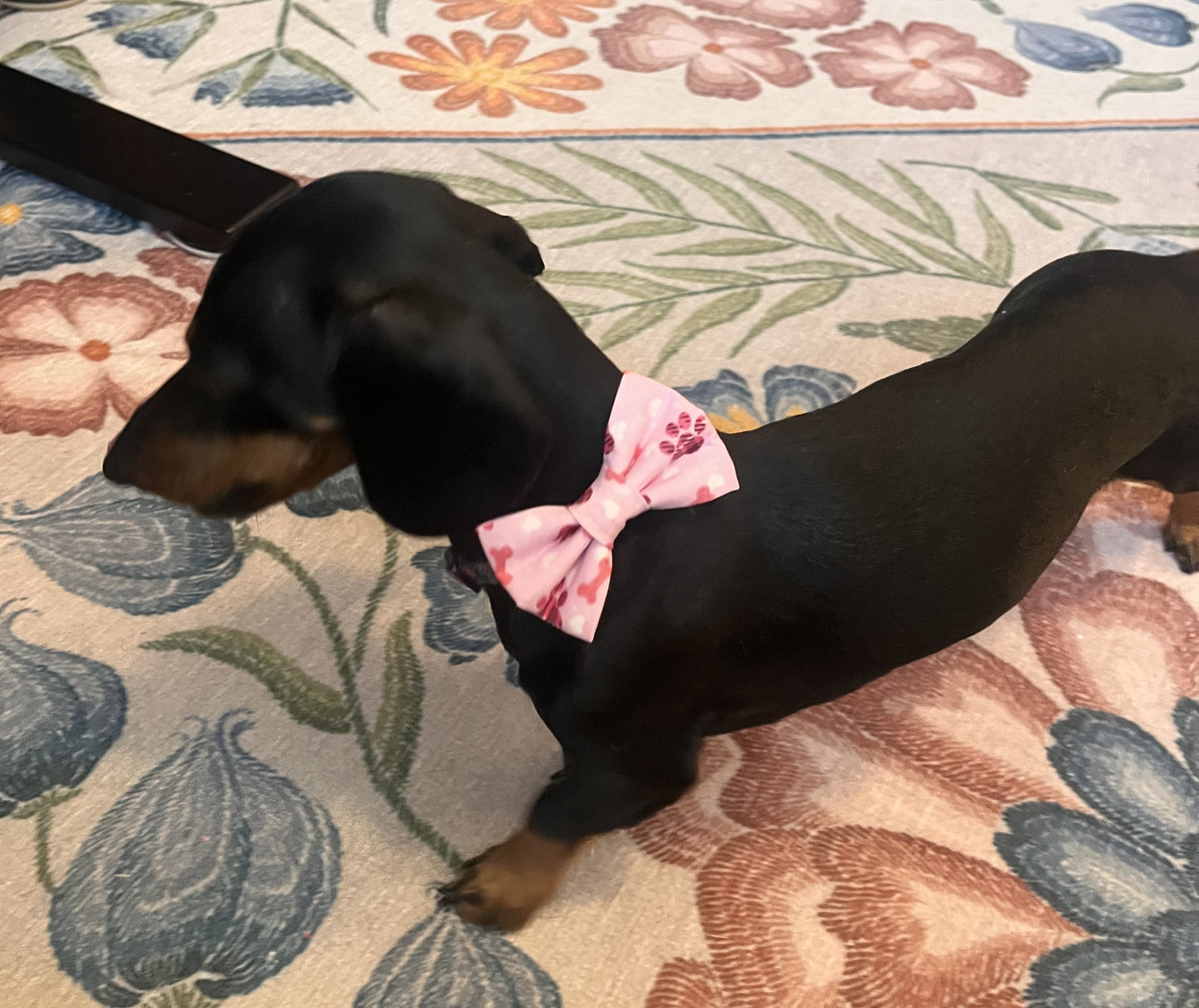 Bow Ties - Fit over the Collar